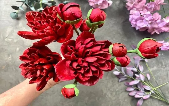 Розовые пионы